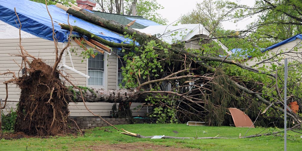 reputable Hillsdale, MI storm damage roof repair and restoration experts