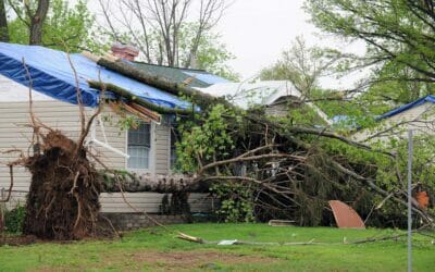3 Steps to Take after a Storm Damages Your Roof in Hillsdale